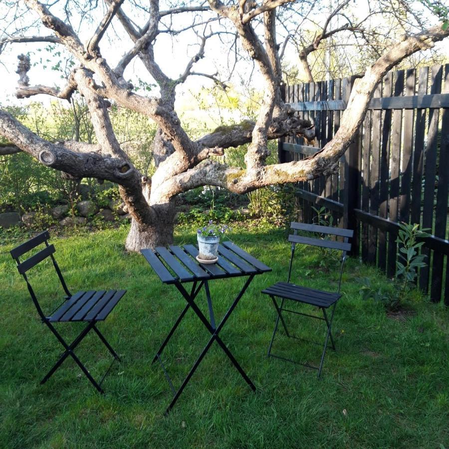 Hillerød Pegasus Bed & Breakfast المظهر الخارجي الصورة