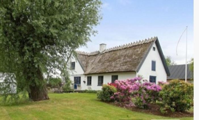 Hillerød Pegasus Bed & Breakfast المظهر الخارجي الصورة