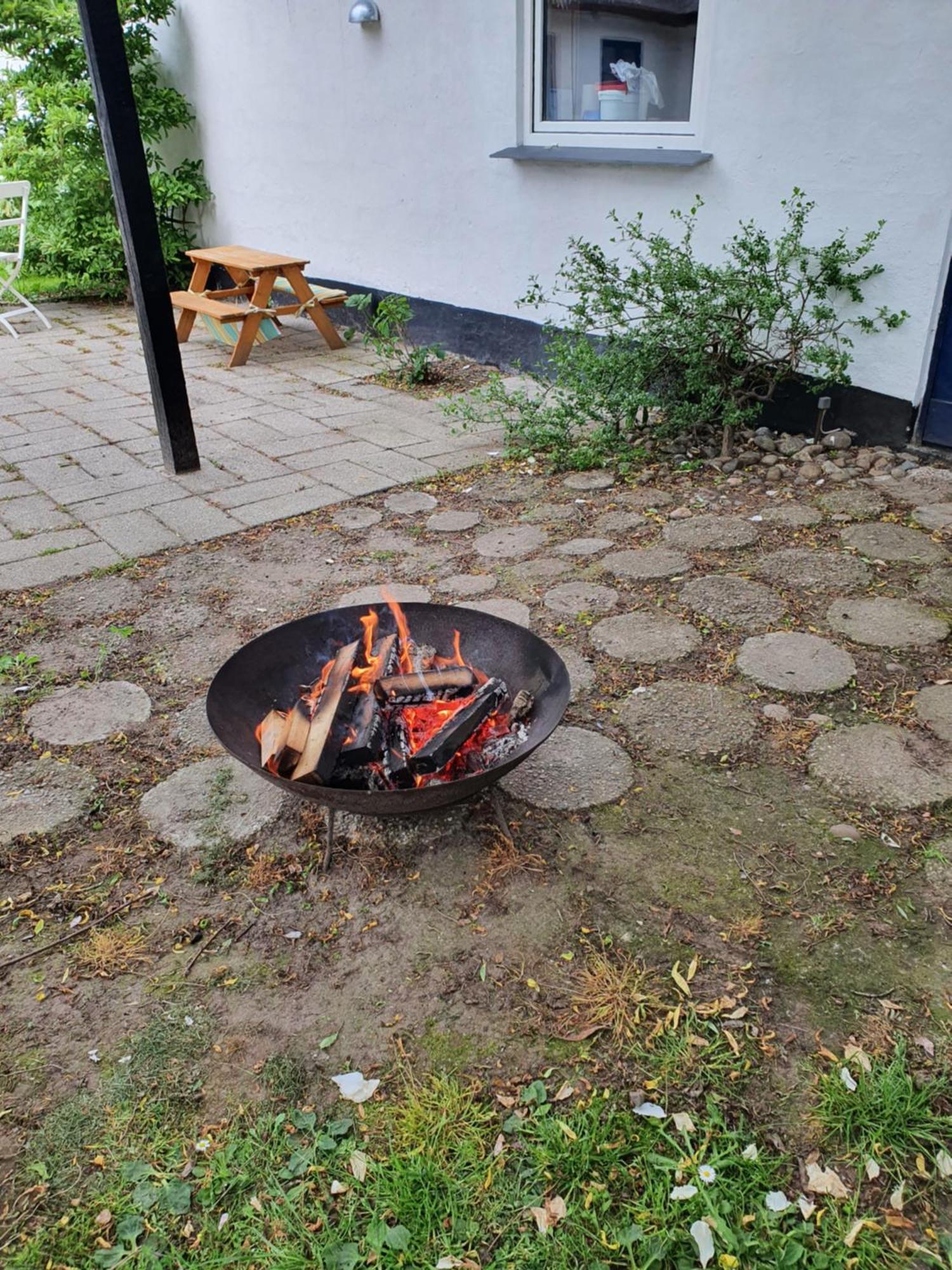 Hillerød Pegasus Bed & Breakfast المظهر الخارجي الصورة