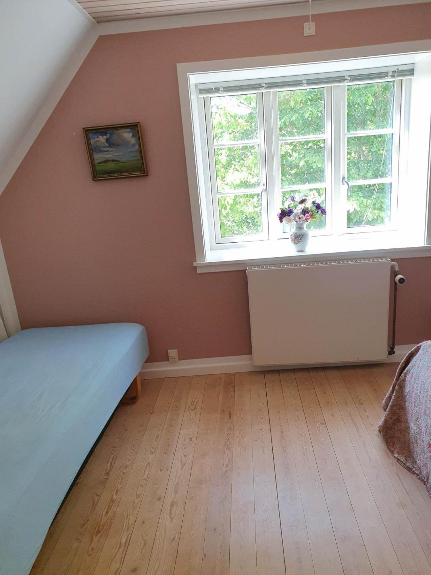 Hillerød Pegasus Bed & Breakfast المظهر الخارجي الصورة