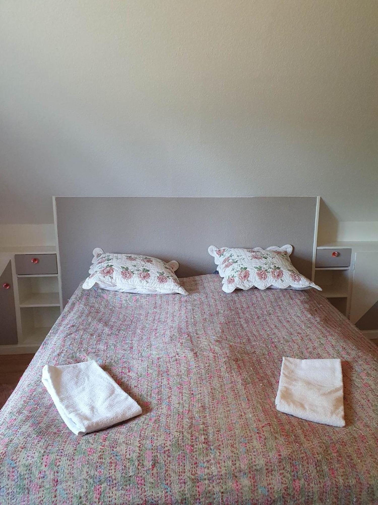 Hillerød Pegasus Bed & Breakfast المظهر الخارجي الصورة