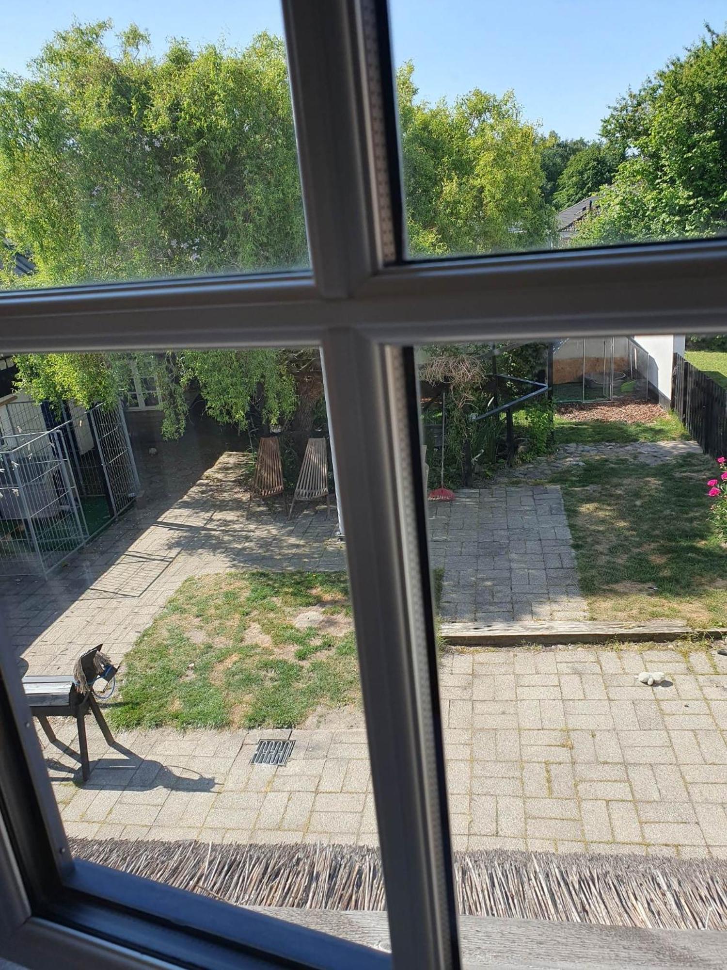 Hillerød Pegasus Bed & Breakfast المظهر الخارجي الصورة