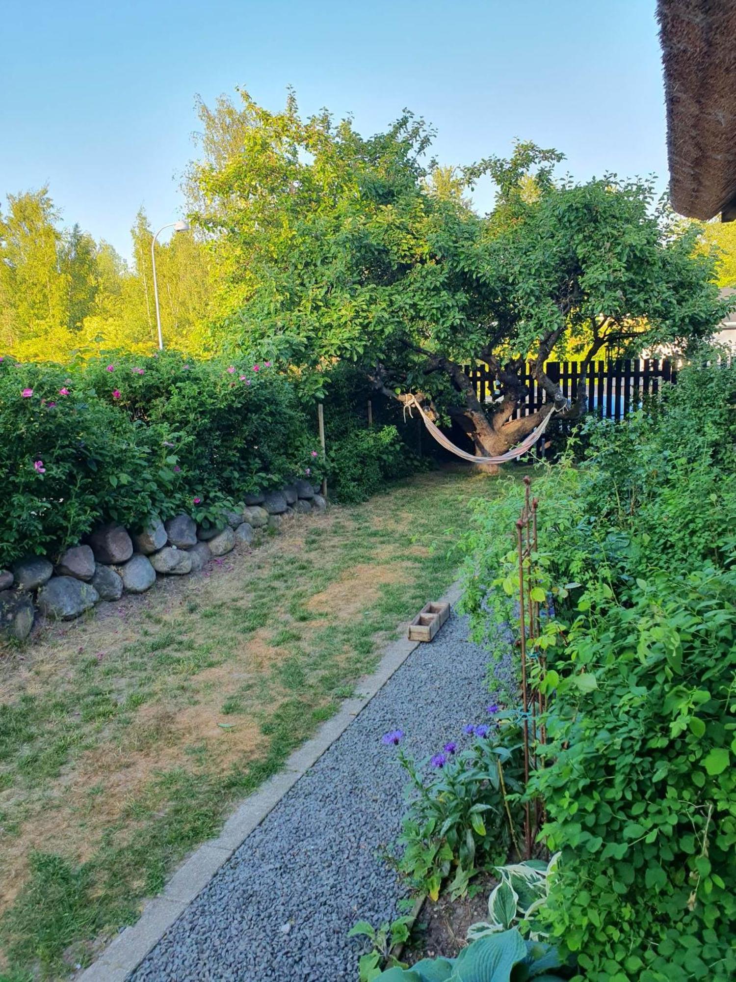 Hillerød Pegasus Bed & Breakfast المظهر الخارجي الصورة